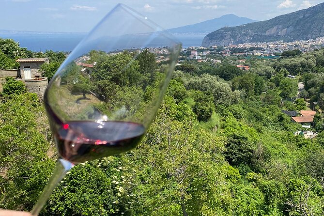 5 Wine Tastings with Typical Products in Sorrento Coast - Service That Keeps It Friendly, With Guides Like Giovanni and Francesca