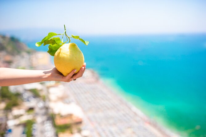 6-hour Private Tour, from Salerno to Pompeii, Ravello and Amalfi - The SS163 Amalfitana return: the drive is part of the show