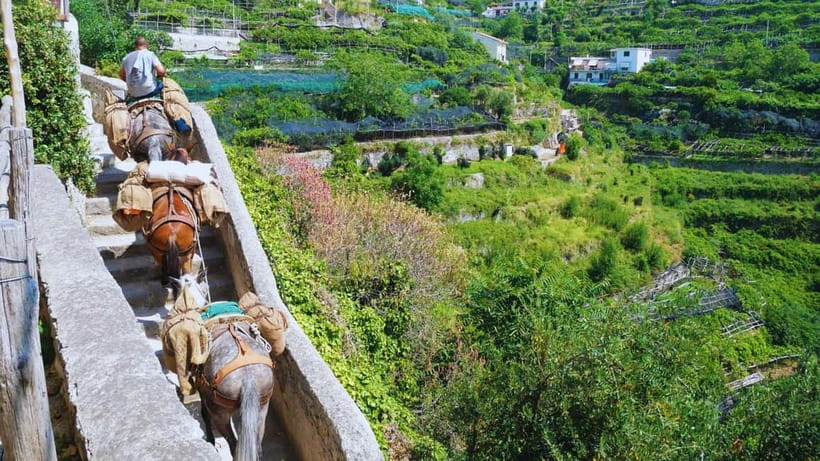 Amalfi Coast: Hike Along the Path of the Lemons - Should You Book This Lemon Hike From Maiori to Minori?