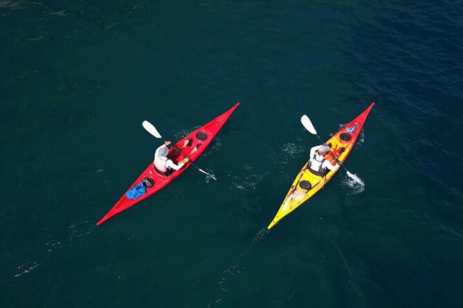 Amalfi Coast : Kayak-Snorkeling tour Pandora Cave & Hidden beach - Norman Tower and lemon groves: the part most boat tours miss
