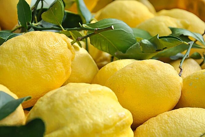 Amalfi Coast - Maiori: Path of Lemons Tour with Tasting - The big picture: Maiori to Minori through lemon groves