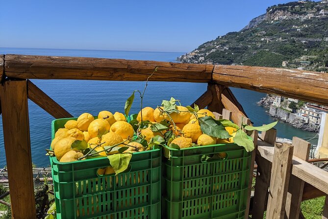 Amalfi Coast - Maiori: Path of Lemons Tour with Tasting - The pacing and stops that make the climb work