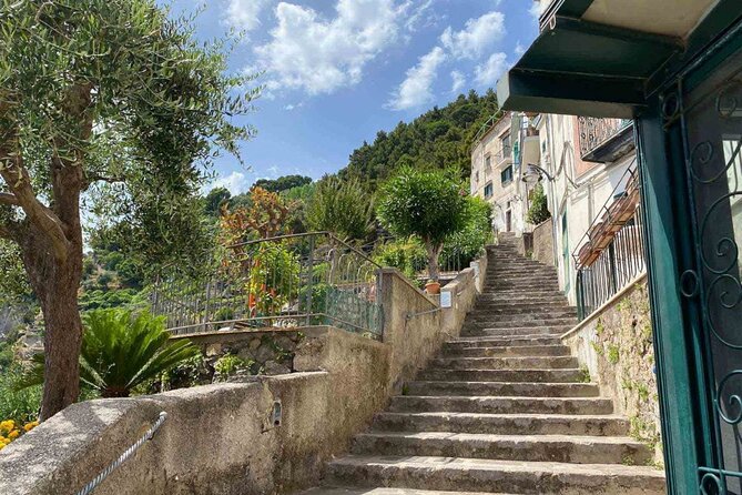 Amalfi Coast - Maiori: Path of Lemons Tour with Tasting - Price and value: is $60.47 a fair deal?