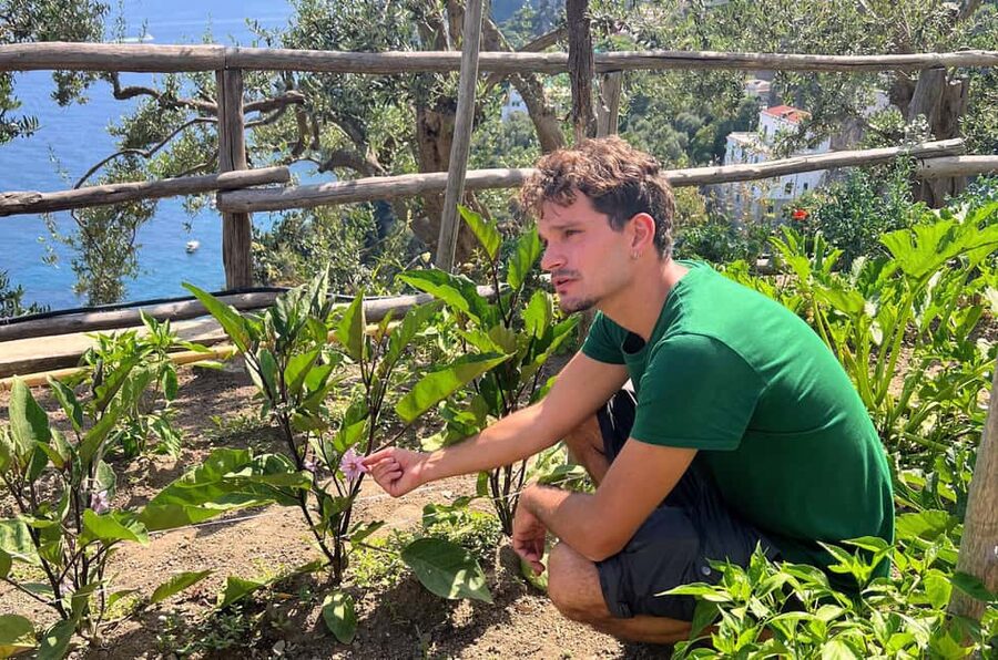 Amalfi Coast: Pizza & Mozzarella Class with Farmhouse visit - Price and value: what $65 buys you on the Amalfi Coast