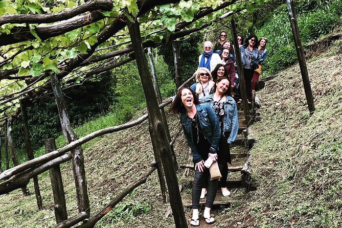 Amalfi coast private tour with Amalfi Ravello and Wine Tour from Positano - Tramonti wine tour at Tenuta San Francesco: old vineyards and a family-style lunch
