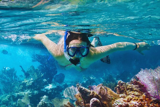 Amalfi Coast Snorkeling and Limoncello Tasting: 4h Boat Tour - How the 4-hour route flows from Amalfi to Positano