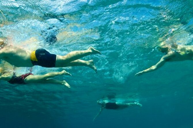 Amalfi Coast Swim Experience with Lifeguard - Who This Is Best For (And Who Should Skip)