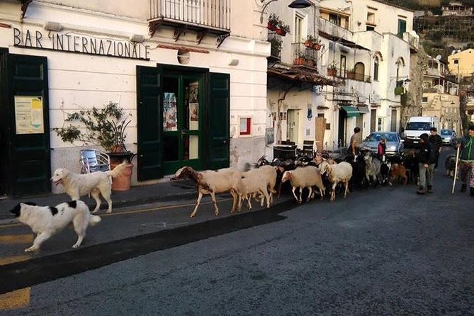 Amalfi Coast tour - Key highlights you will feel right away