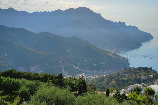 Amalfi Coast Vintage Tour with oil tasting in Ravello - The guide and conversation: turning snacks into local context