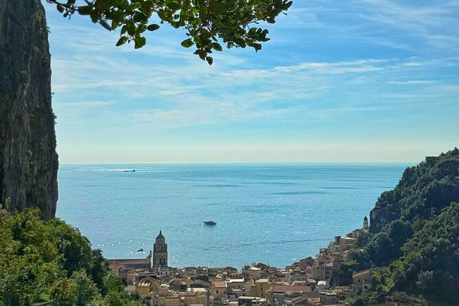 Amalfi: Organic Lemon Tour + Limoncello + Honey + Wine Tastings - Key Highlights You’ll Care About