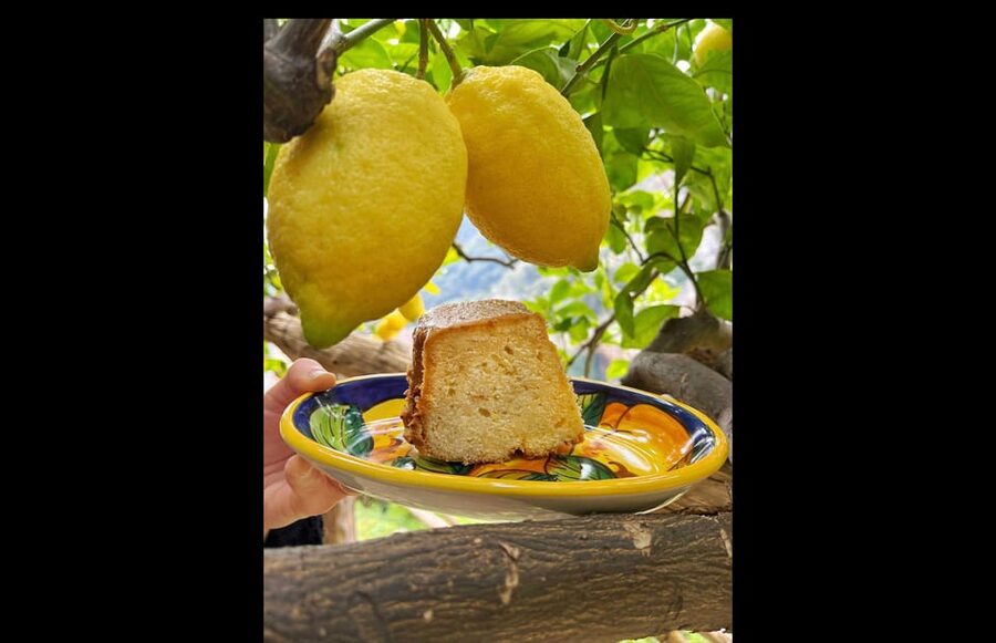 Amalfi Organic Lemon Tour & Tasting in the Historical Garden - Lemon season timing, and what to expect with yellow lemons