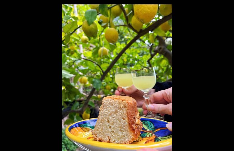 Amalfi Organic Lemon Tour & Tasting in the Historical Garden - Varieties explained on the spot, including the famous Sfusato lemon