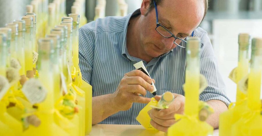 Amalfi: Vertical Lemon Farm Tour, Tastings, and Rural Museum - Key highlights you should care about