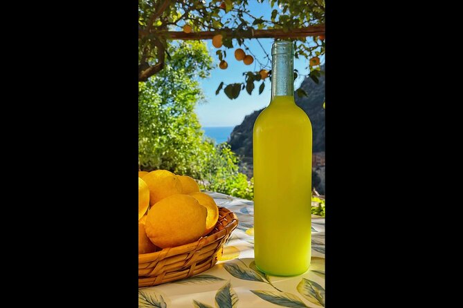 Authentic Amalfi Lemon Tour & Tasting in the Historical Garden - The Walk: Views, Breaks, and the Stairs Factor