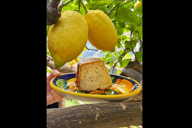 Authentic Amalfi Lemon Tour & Tasting in the Historical Garden - The Tasting: Organic Lemonade, Limoncello, and Lemon Cake
