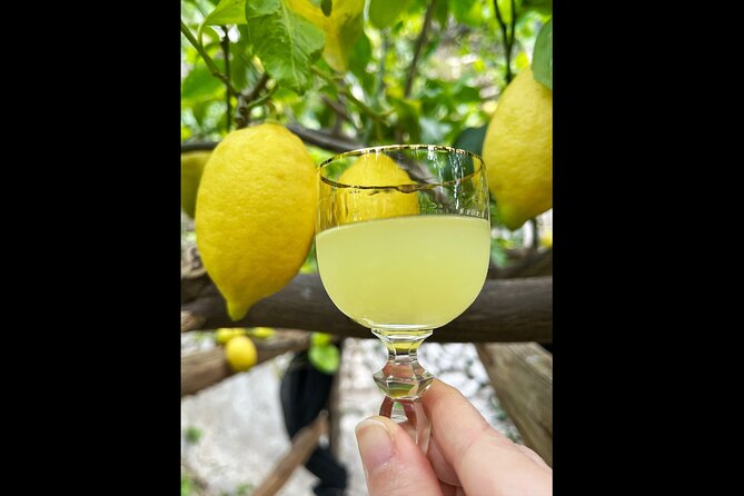 Authentic Amalfi Lemon Tour & Tasting in the Historical Garden - Price and Value: Is 49.48 Worth It?