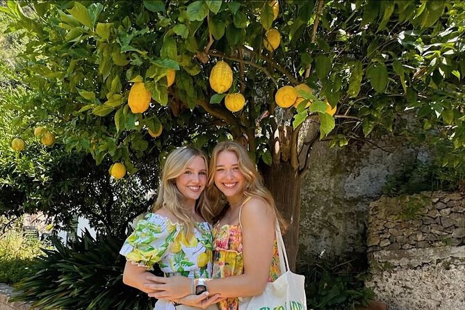 Authentic Amalfi Lemon Tour & Tasting in the Historical Garden - Terrace Farming Lessons You Can Actually Use