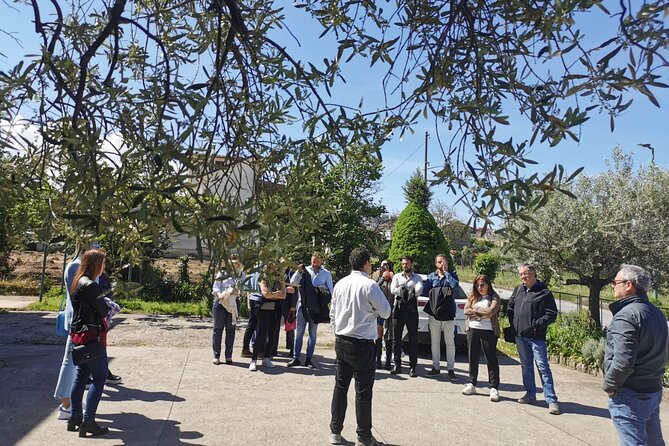 Cantine d'Irpinia: visit and tasting Taurasi from ancient vineyards - Who this Taurasi tasting is perfect for