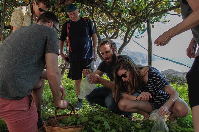 Cooking Class with garden visit - Cooking class workflow: from dough to pesto and dessert