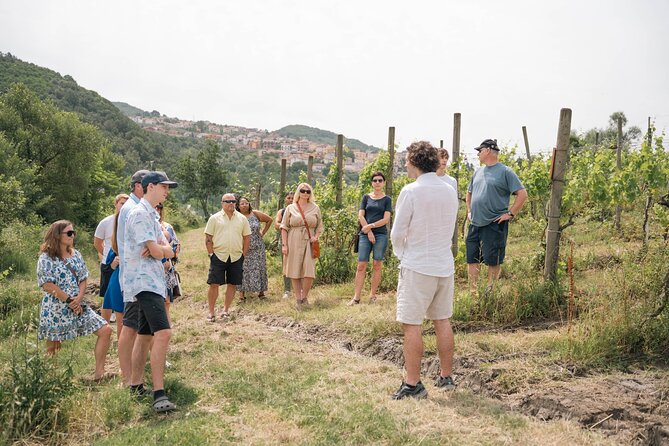 Cortecorbo winery: Pizza Cooking class, lunch & wine tasting - Lunch and six-wine tasting: what you actually eat, and how to pace it