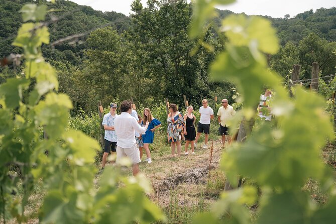 Cortecorbo winery: Pizza Cooking class, lunch & wine tasting - Who should book Cortecorbo, and who might prefer something else