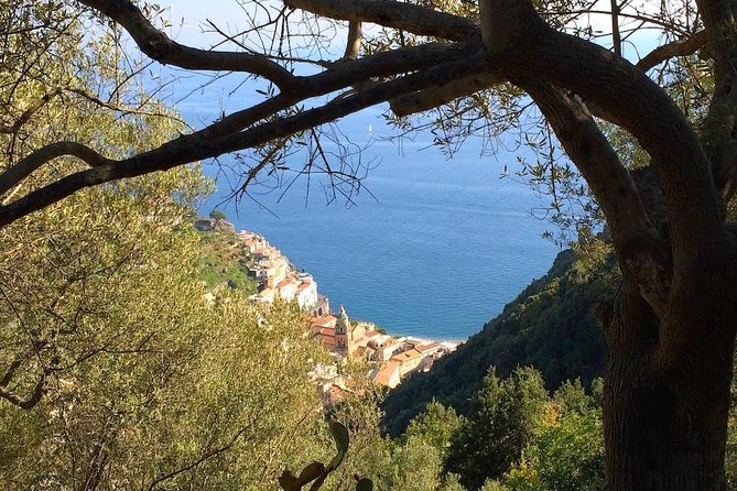 Discovering Amalfi coast via Amalfi - Pogerola by walking - Why this Amalfi hike feels different from the coast road