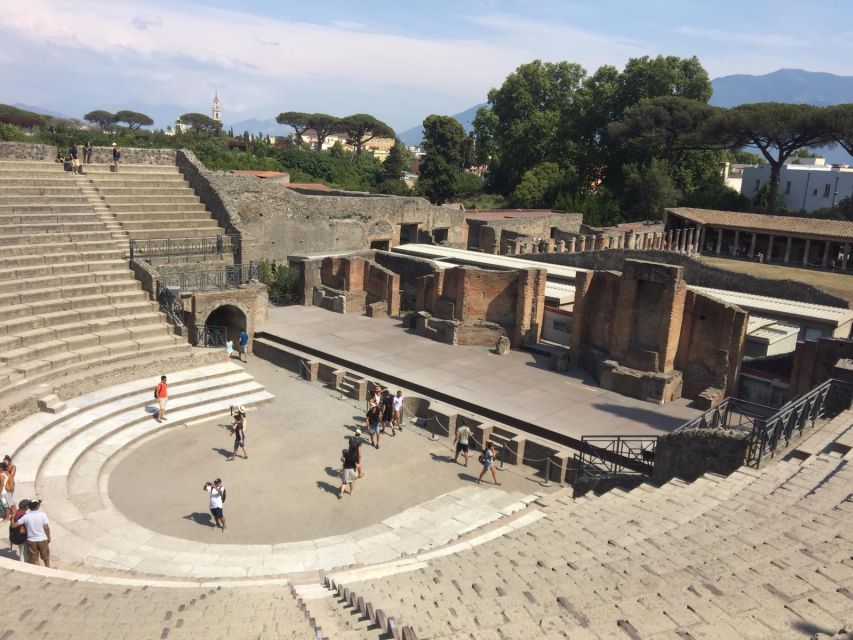 From Salerno: Pompeii Guided Walking Tour - Key highlights at a glance