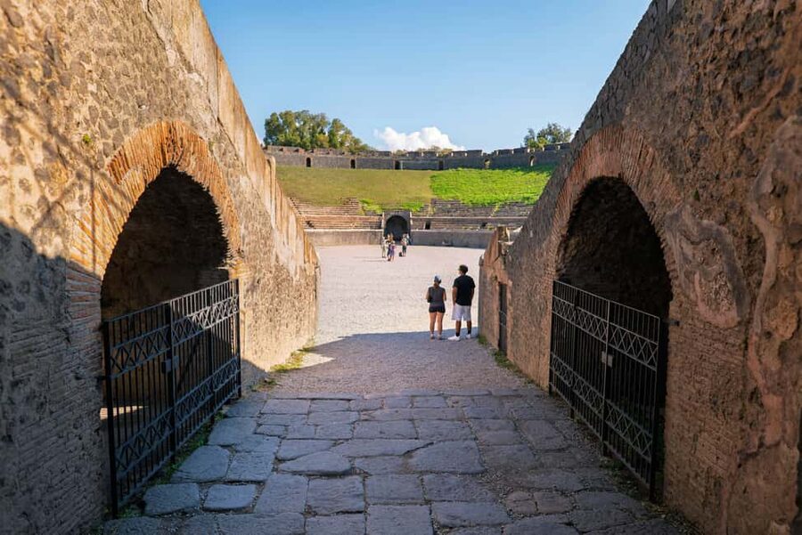 From Salerno: Pompeii Guided Walking Tour with Ticket - Forum Views and the Eruption Story at Ground Level