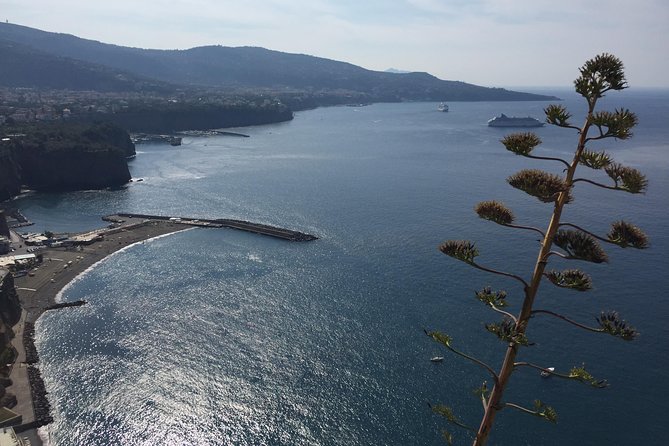 Full Day Private Sorrento & Amalfi Coast Tour from Positano - How a private Amalfi Coast day from Positano actually feels