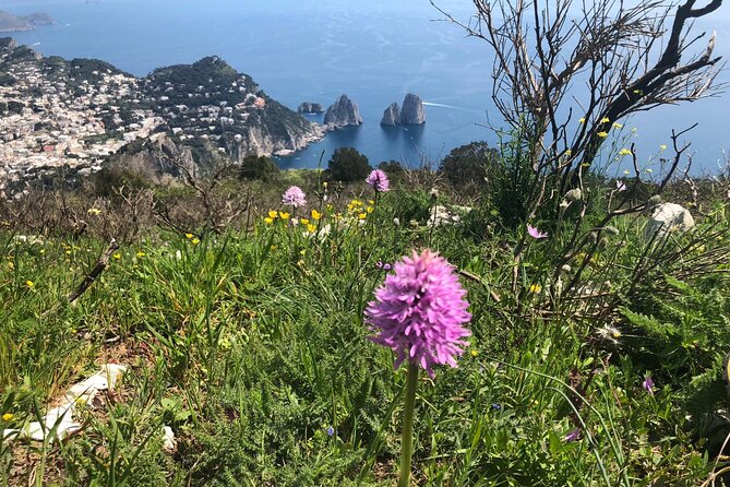 Gastronomic Hike on the Path of the Gods with Food Tasting - Timing, pacing, and how you’ll handle the terrain