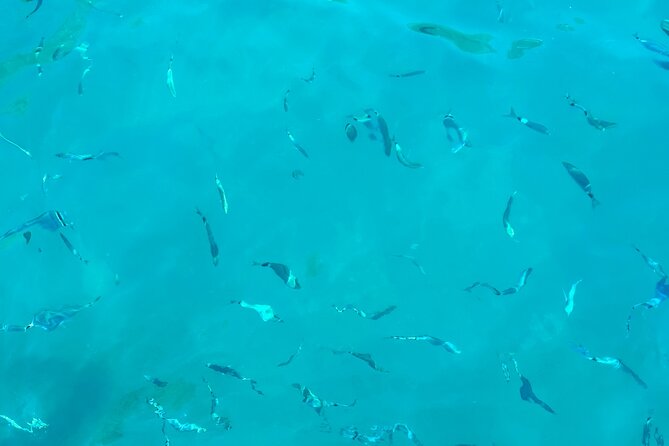 Half-Day Amalfi Coast Boat & Snorkeling Small Group Tour - Conca dei Marini and the Saracens towers: details you can actually see from the water