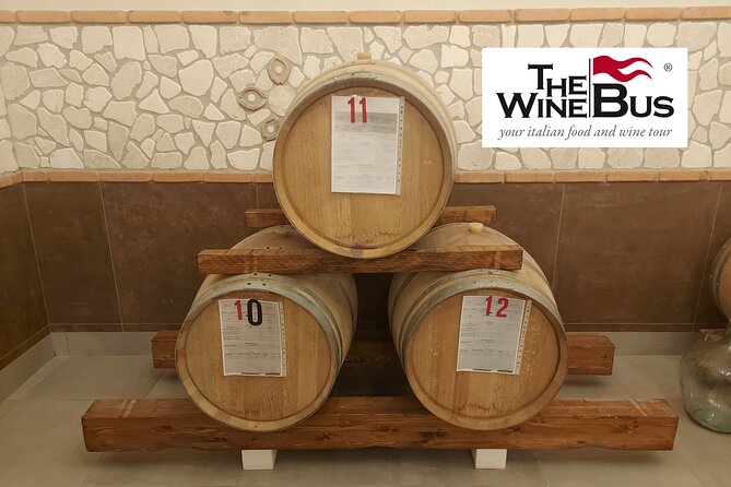 Half-Day Irpinia Wine Tour from SALERNO - The Tasting Menu: 4 Glasses Spanning 6 Local Styles