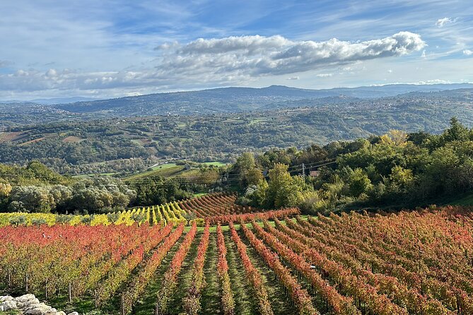 Half-Day Irpinia Wine Tour from SALERNO - Who This Tour Suits Best (And Who Might Prefer Something Else)