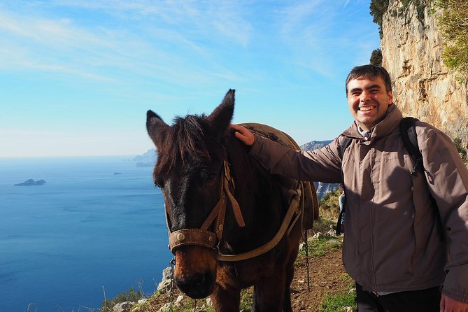 Half-Day Private Amalfi Coast Path of the Gods Hike with Lunch - Price and value: is $336.07 per person worth it?