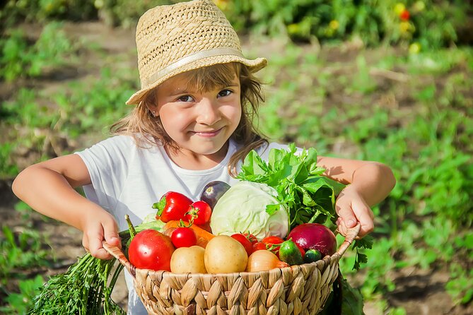 Hands-On Cooking Class & Farmhouse Tour on the Amalfi Coast - Key highlights at a glance