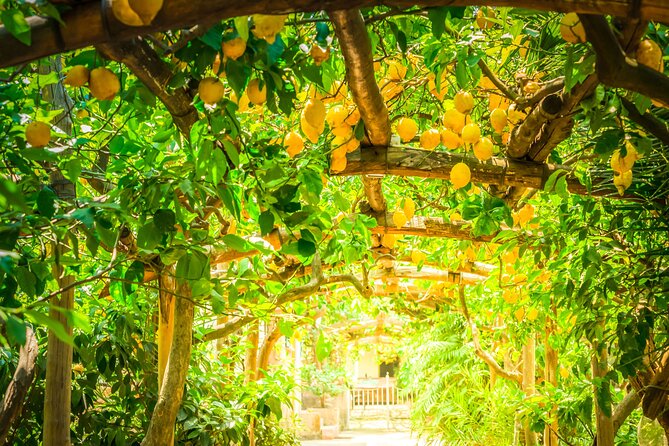 Hands-On Cooking Class & Farmhouse Tour on the Amalfi Coast - Logistics that actually affect your day