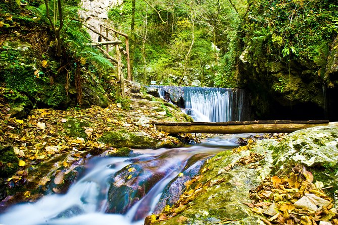 Hiking Experience - Amalfi Natural Reserve Valle delle Ferriere - Key things I’d bank on before you go