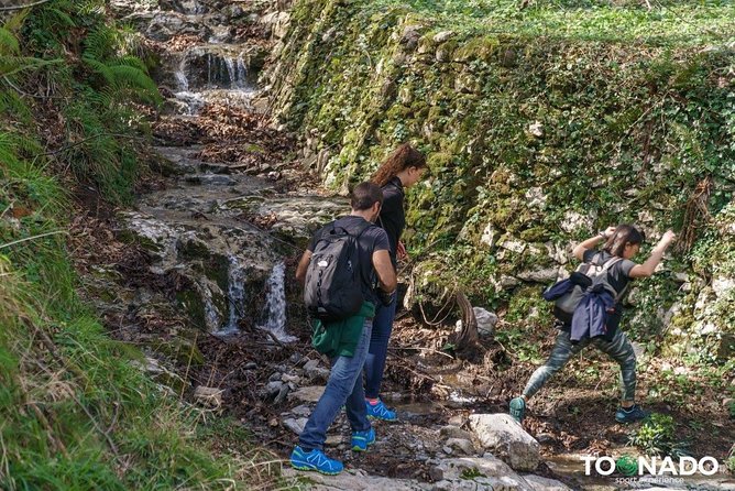 Hiking Experience - Amalfi Natural Reserve Valle delle Ferriere - Valle delle Ferriere, the Amalfi Natural Reserve that feels like a jungle
