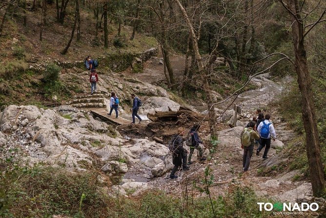 Hiking Experience - Amalfi Natural Reserve Valle delle Ferriere - Who should take this Valle delle Ferriere hike, and who should skip it