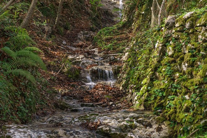 Hiking Experience - Amalfi Natural Reserve Valle delle Ferriere - Starting in Pontone at 9:00 am, with a guide who handles the details
