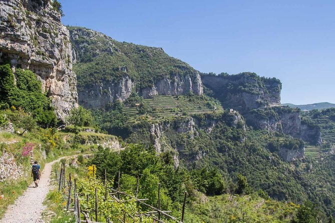Hiking the Path of the Gods with Enzo: Amalfi Coast Adventure - Price and value: $83.45 is about convenience plus guide support