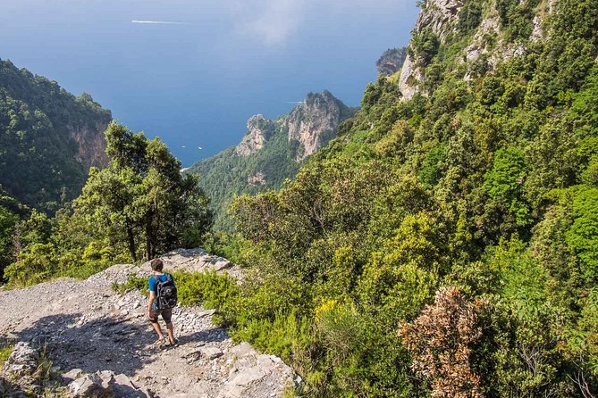 Hiking the Path of the Gods with Enzo: Amalfi Coast Adventure - Who should book this Amalfi Coast hike with Enzo