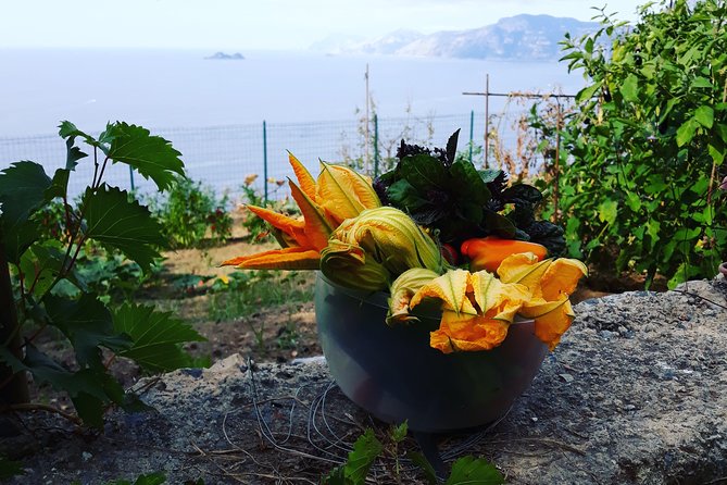 I offer cooking lesson of Amalfi tradition - Who Should Book This Cooking Lesson