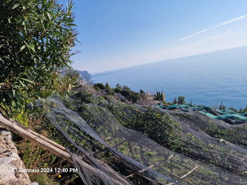 Lemon Path - Amalfi coast - Price Check: Is $66 Worth It for a Lemon Path Half-Adventure?
