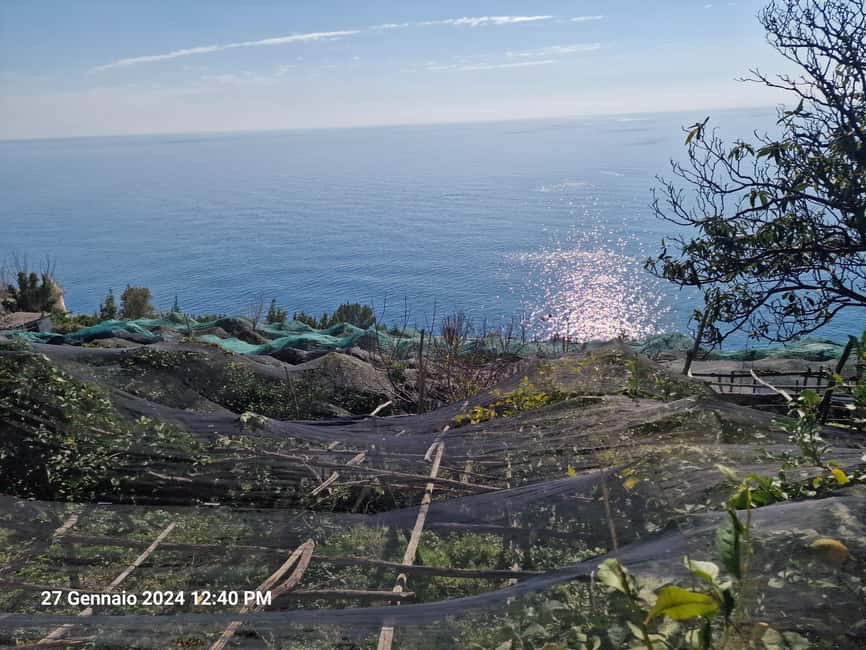 Lemon Path - Amalfi coast - Who Should Book This Lemon Path Walk (and Who Should Skip It)
