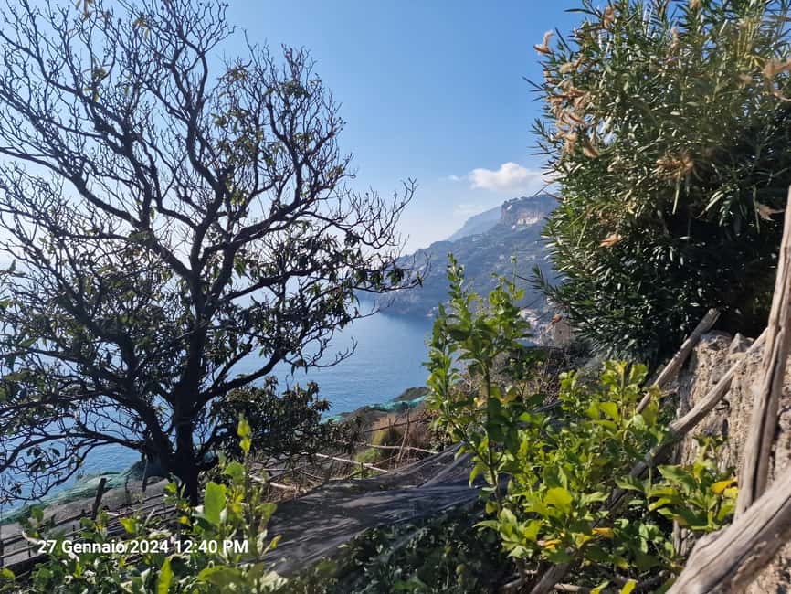 Lemon Path - Amalfi coast - Lemon Farm Stop: Optional, Local, and Great When You Want Tastings