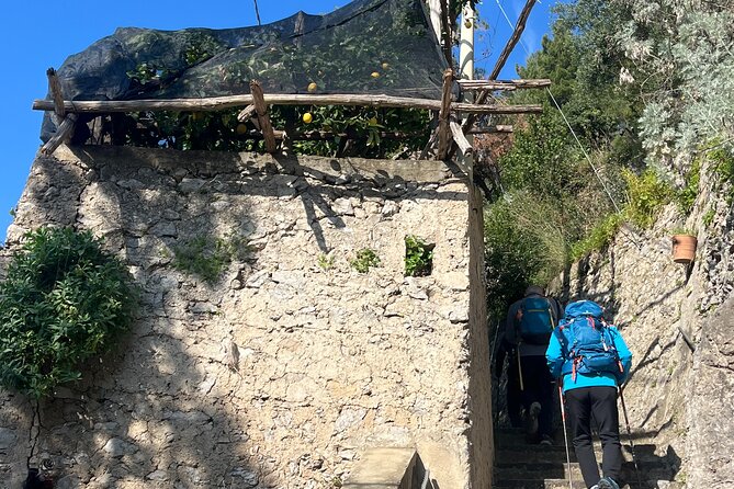 Lemon Path Tour with Tasting Session and Transfer from Positano - Why the Sentiero dei Limoni is the right kind of Amalfi Coast time