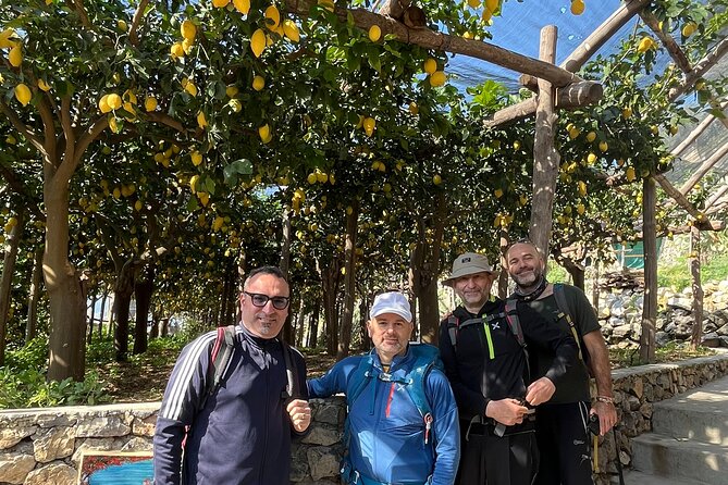 Lemon Path Tour with Tasting Session and Transfer from Positano - The tasting session: what to sample and how to pace it