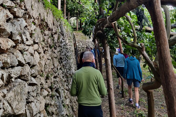 Lemon Tour on the Amalfi Coast - Why PGI lemon is more than a label
