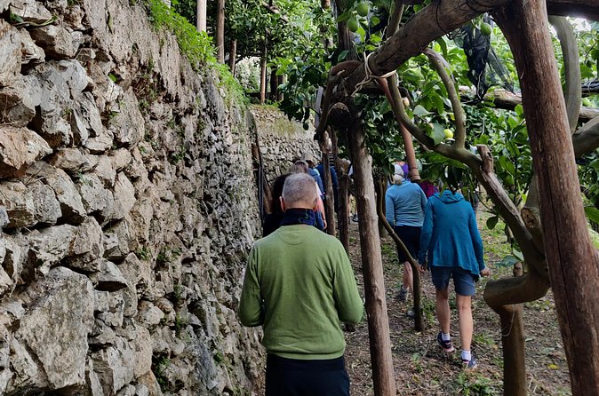 Lemon Tour on the Amalfi Coast - Price and value for a 30-minute Amalfi Coast lemon stop